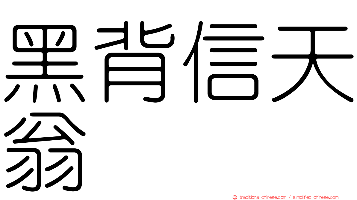 黑背信天翁