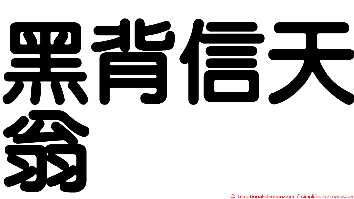 黑背信天翁