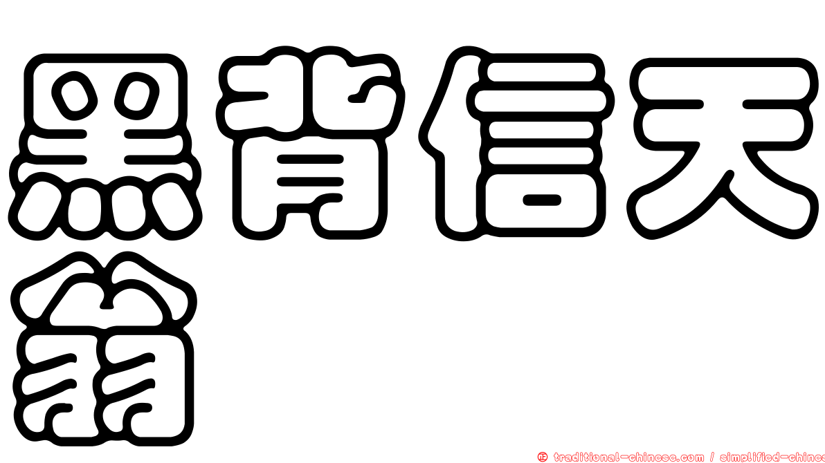 黑背信天翁