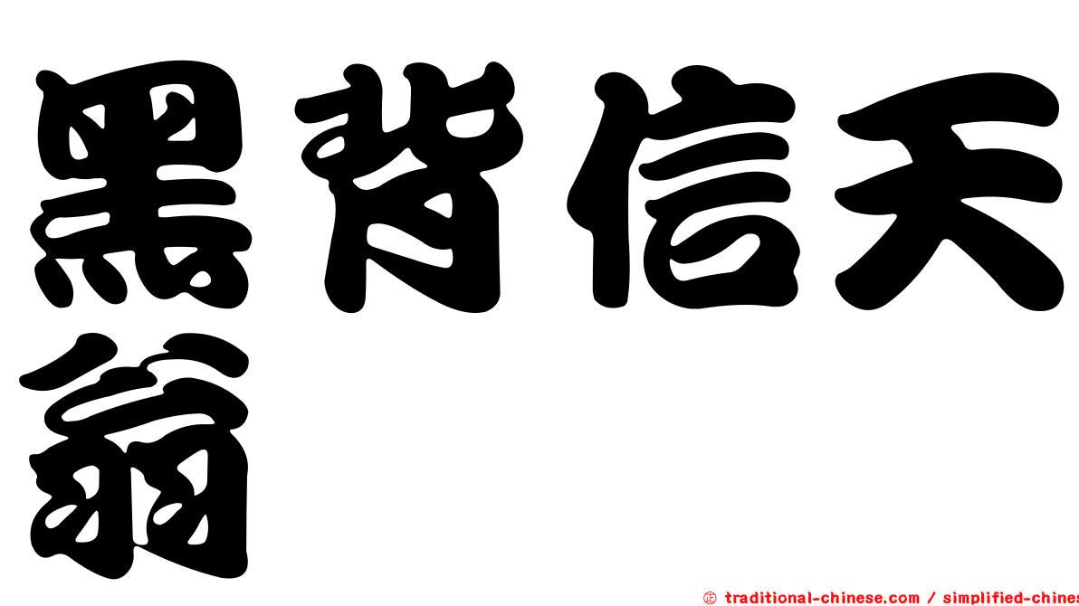 黑背信天翁