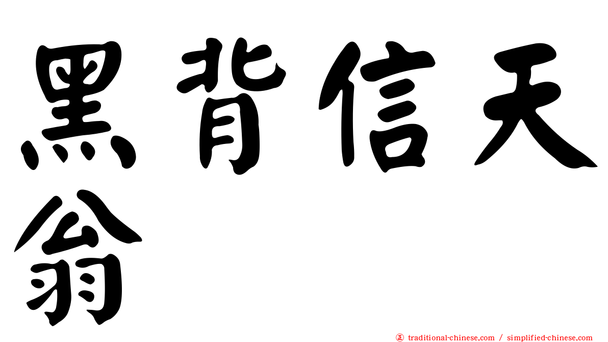 黑背信天翁