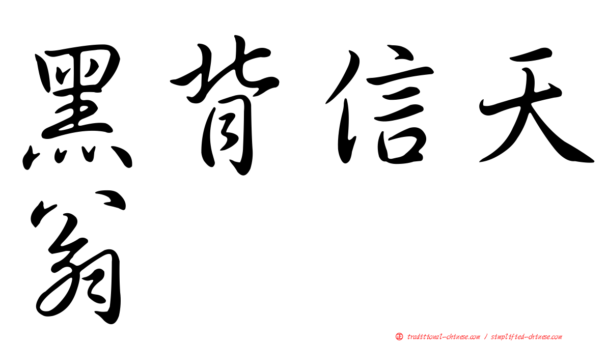 黑背信天翁