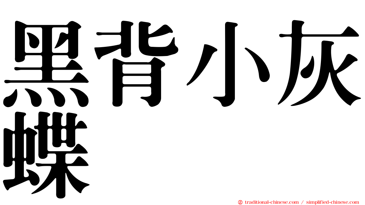黑背小灰蝶