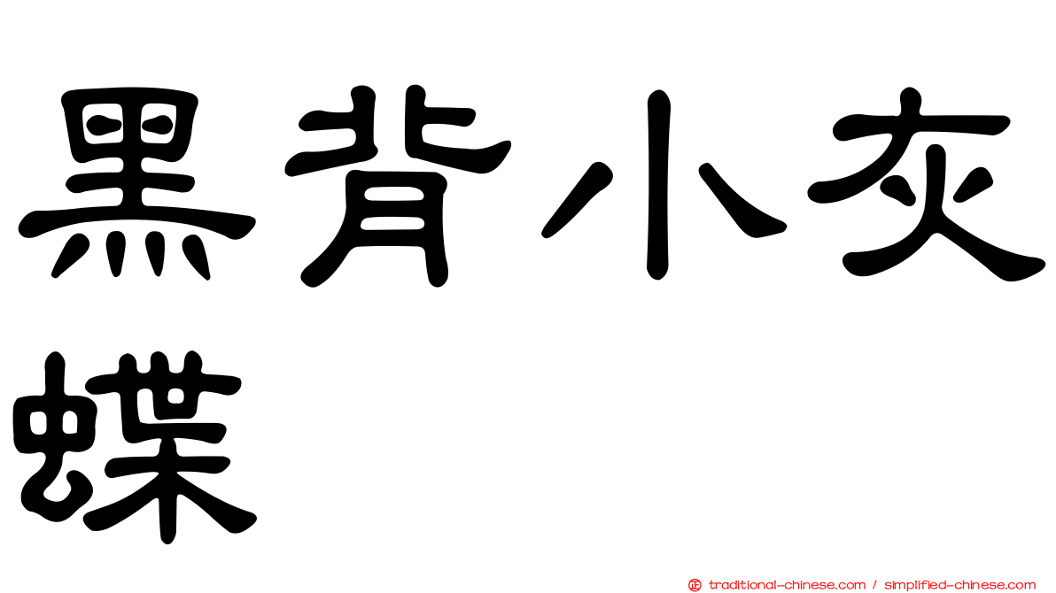 黑背小灰蝶