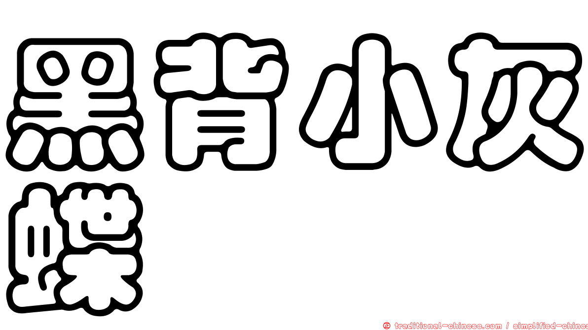 黑背小灰蝶