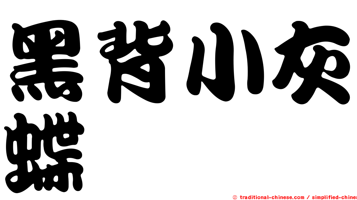 黑背小灰蝶