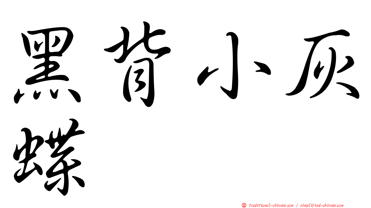 黑背小灰蝶