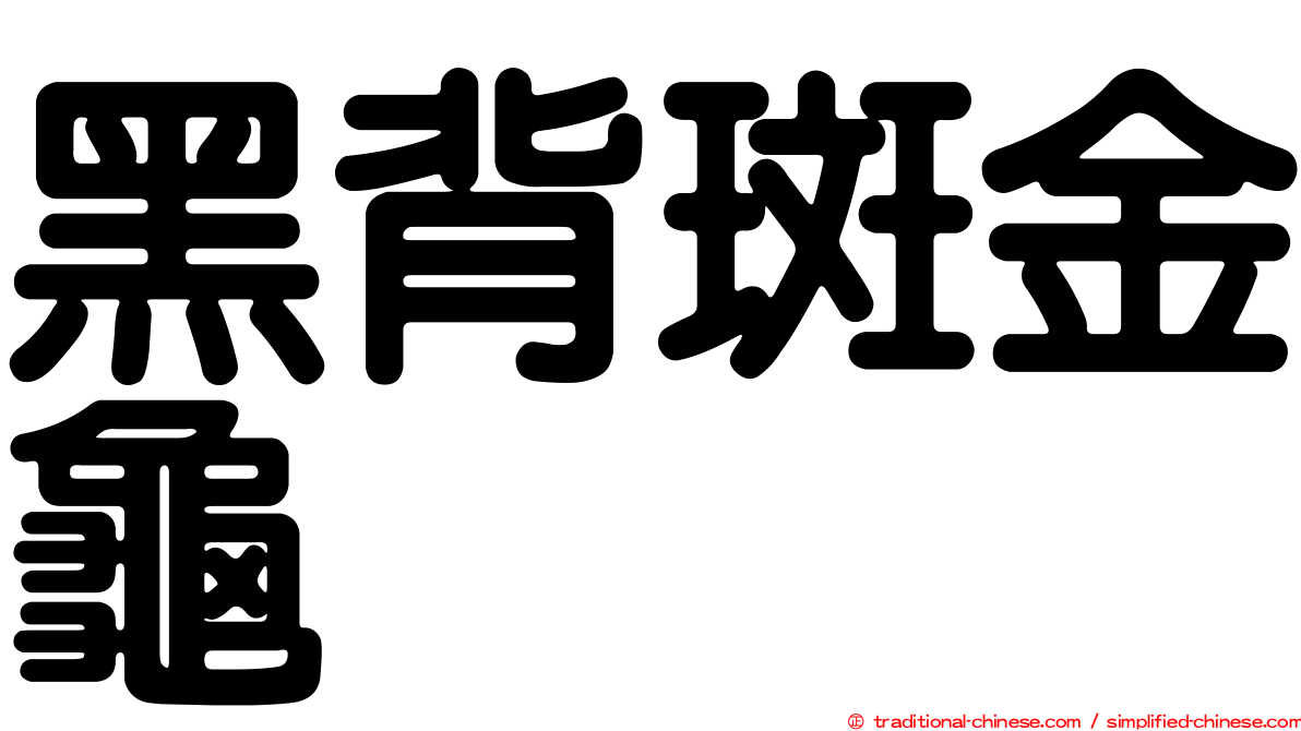 黑背斑金龜