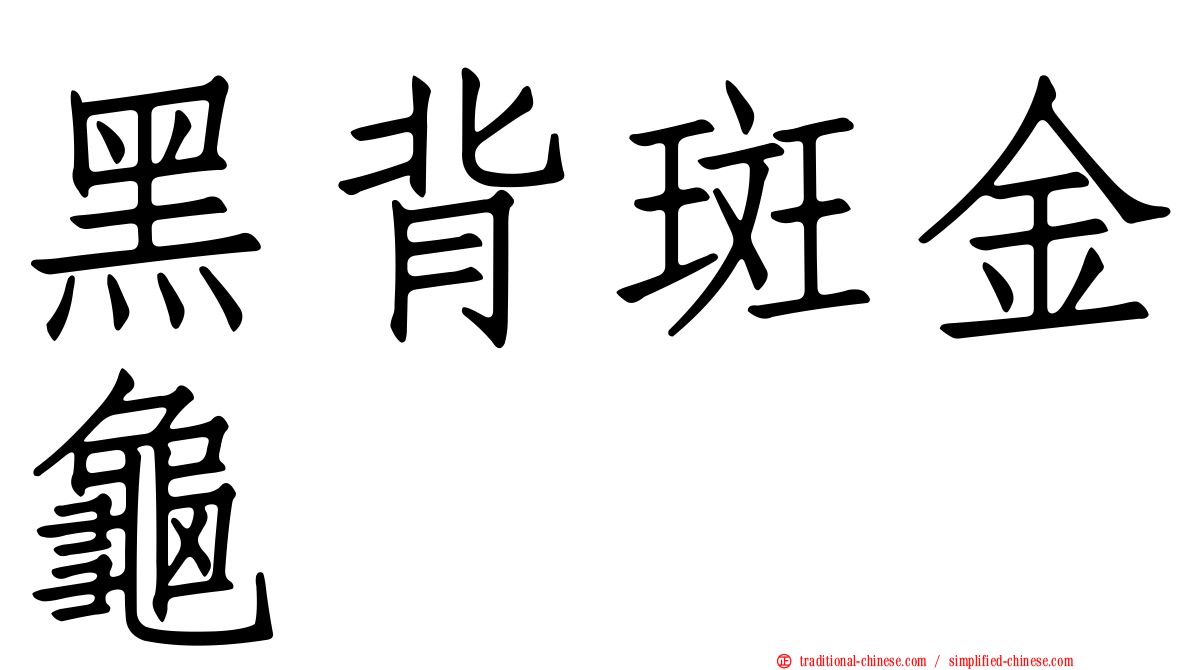 黑背斑金龜