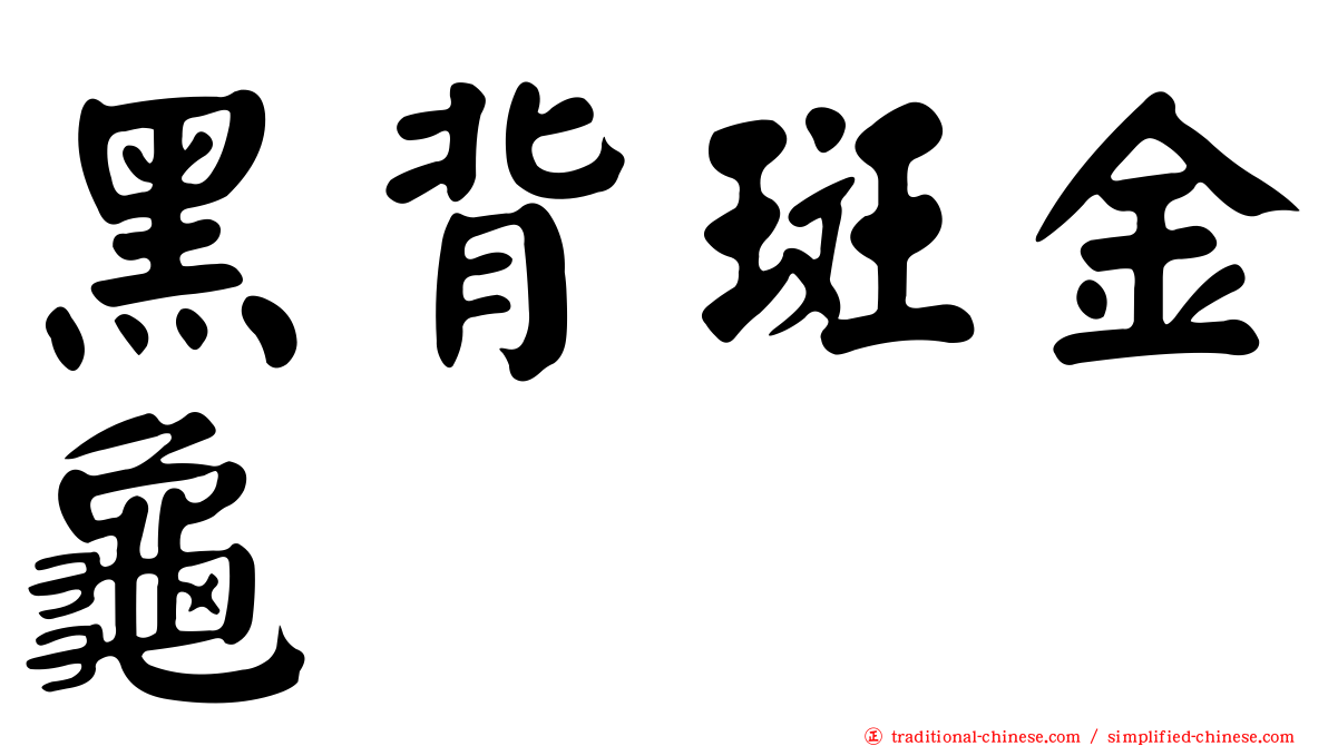 黑背斑金龜