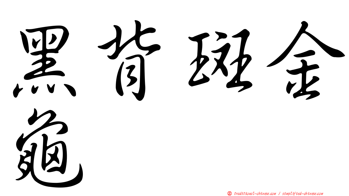 黑背斑金龜