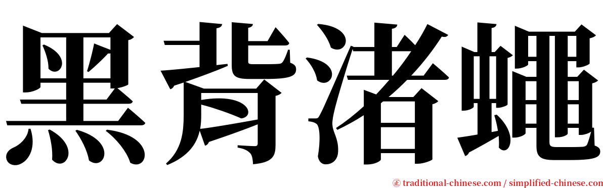 黑背渚蠅 serif font