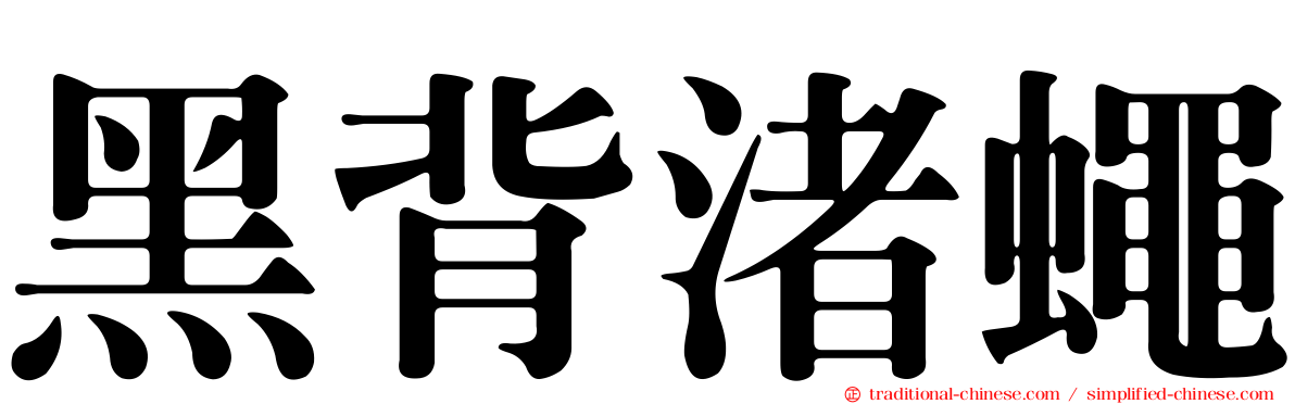 黑背渚蠅