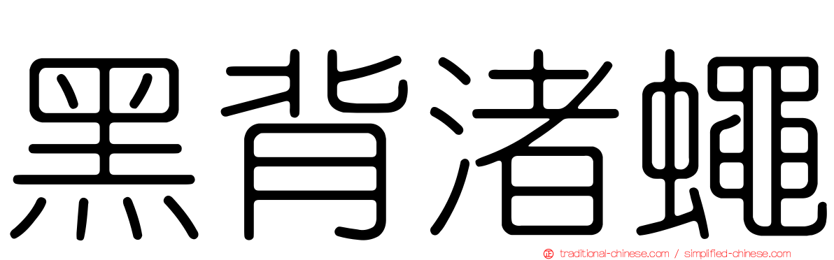 黑背渚蠅