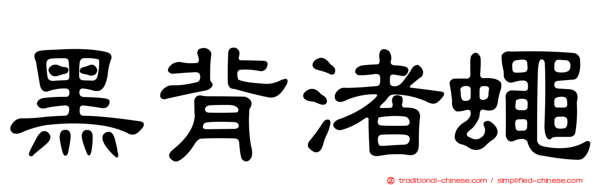 黑背渚蠅