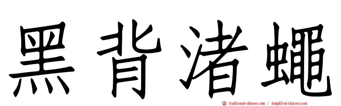 黑背渚蠅