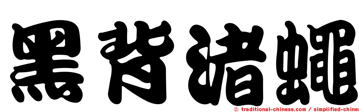 黑背渚蠅