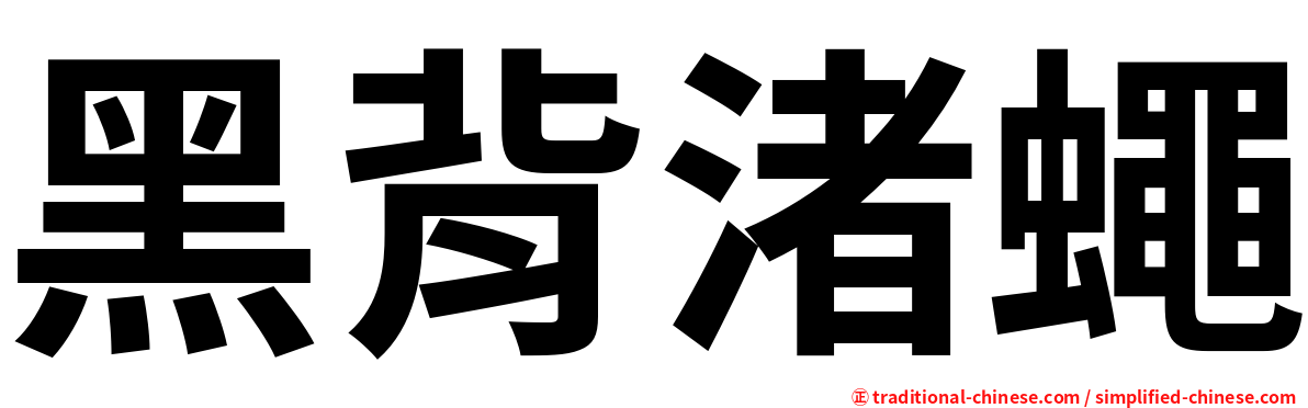 黑背渚蠅