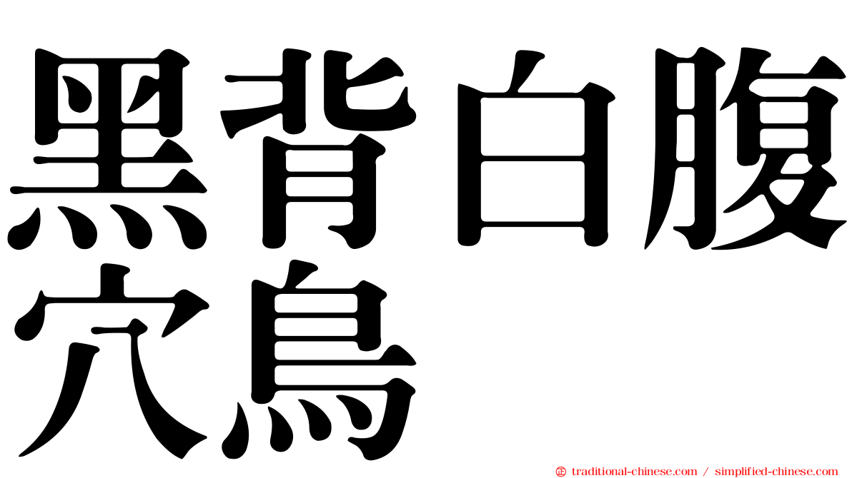 黑背白腹穴鳥