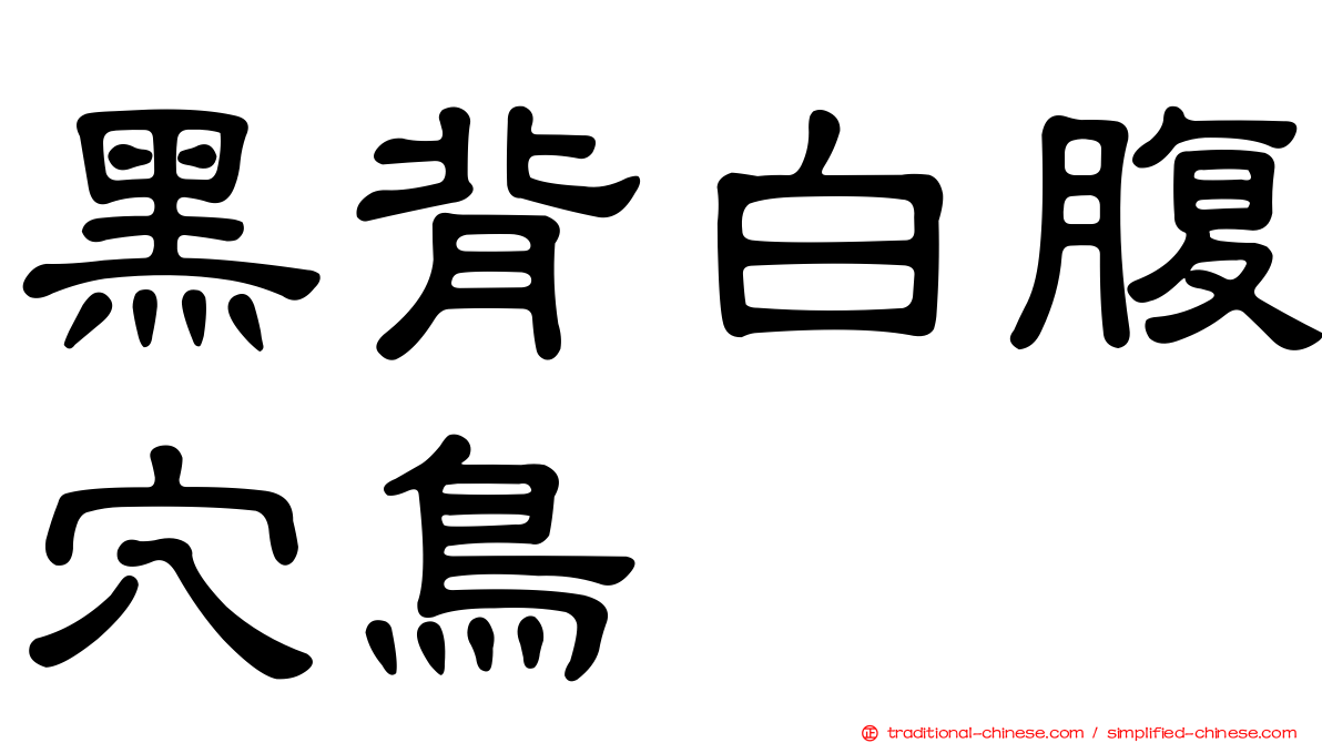 黑背白腹穴鳥