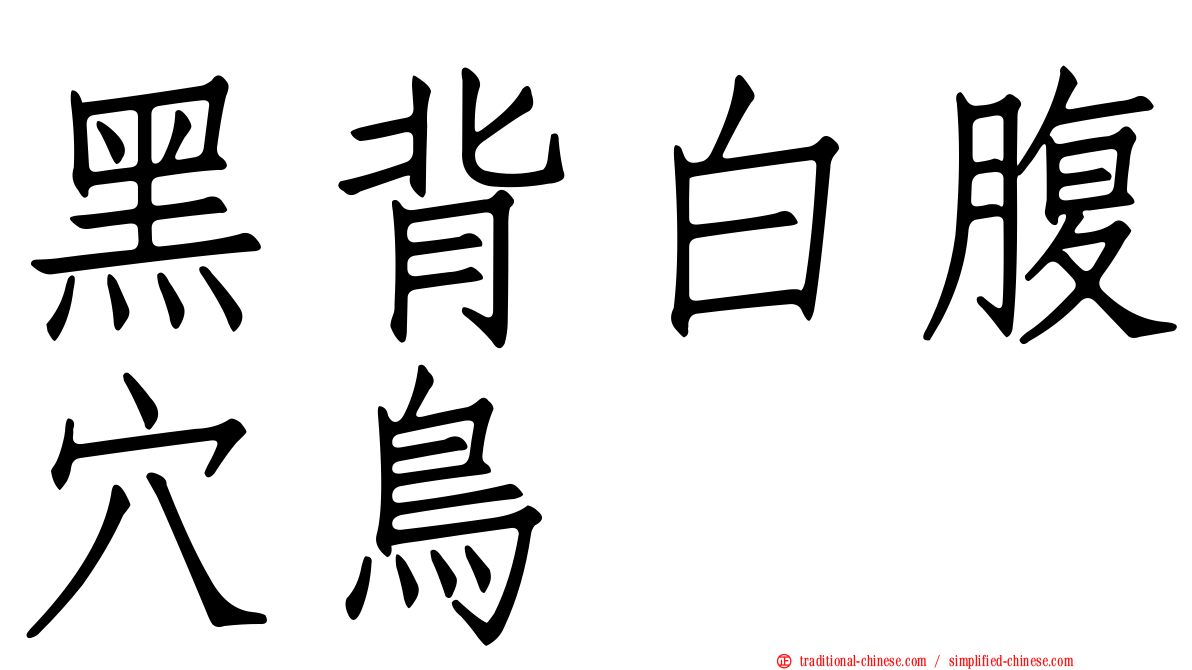 黑背白腹穴鳥
