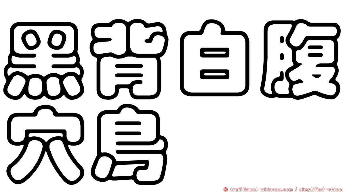 黑背白腹穴鳥
