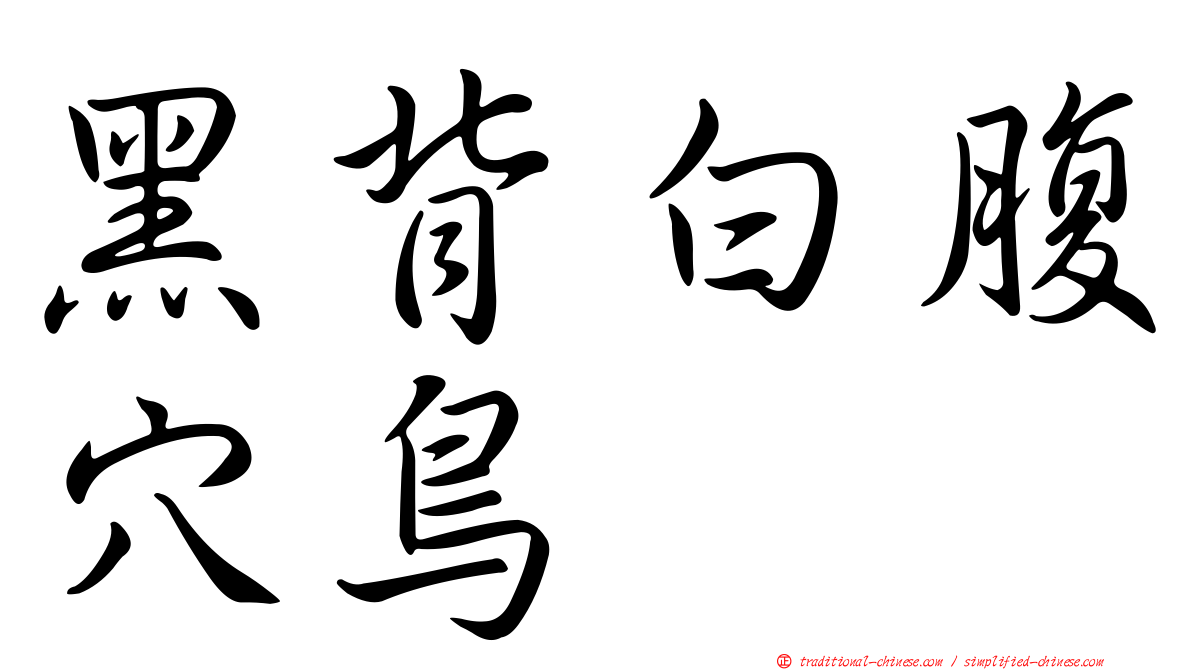 黑背白腹穴鳥