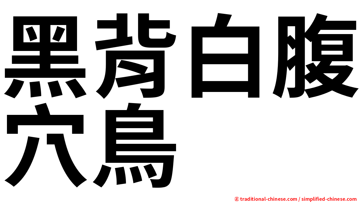 黑背白腹穴鳥