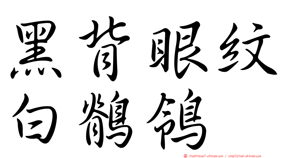 黑背眼紋白鶺鴒