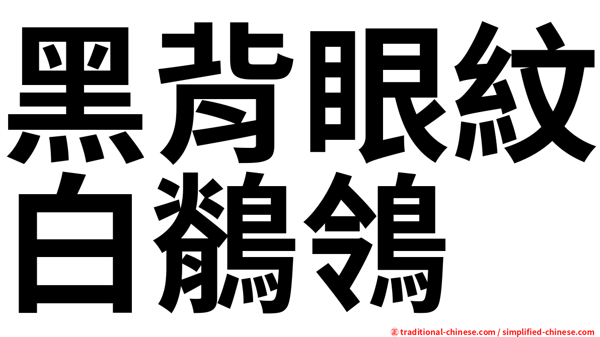 黑背眼紋白鶺鴒