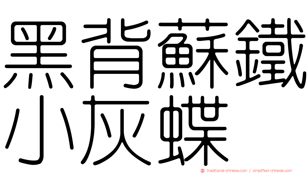 黑背蘇鐵小灰蝶