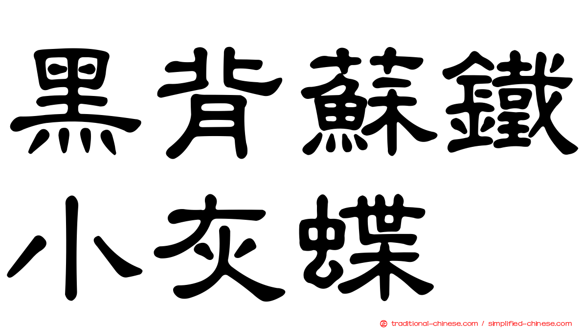 黑背蘇鐵小灰蝶