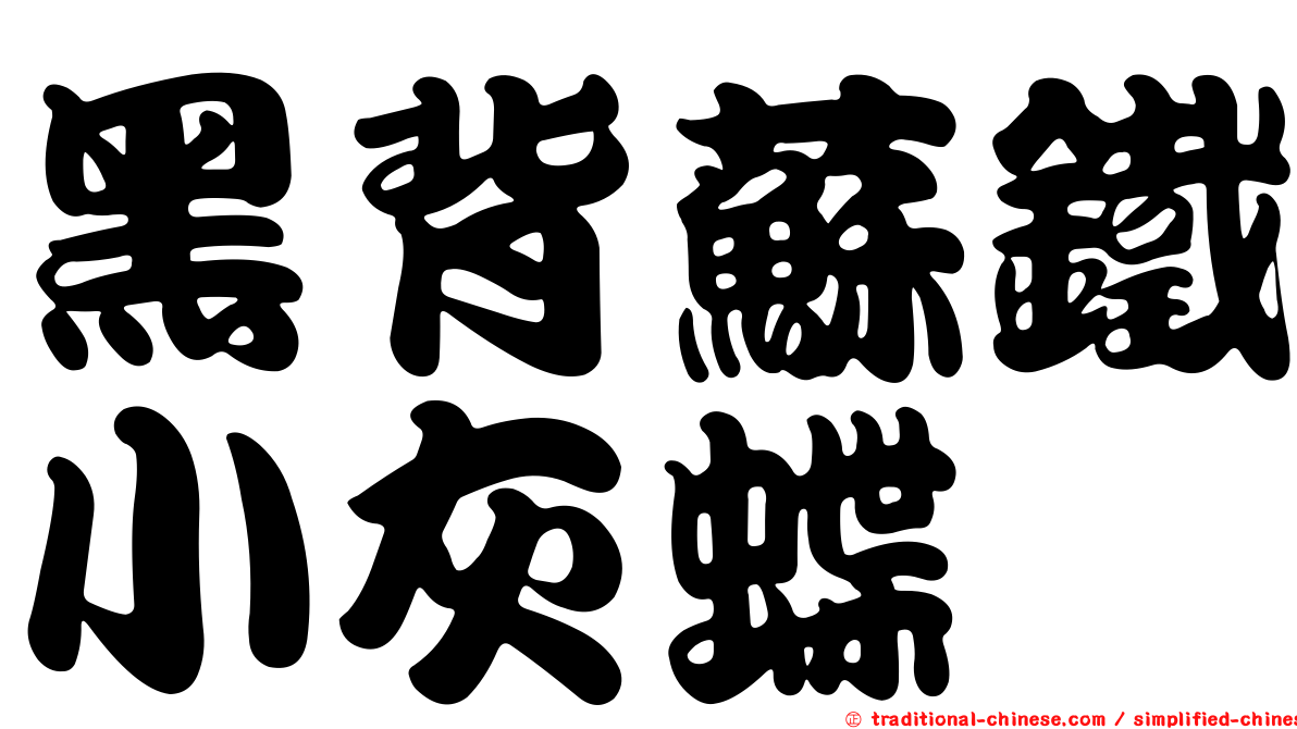 黑背蘇鐵小灰蝶