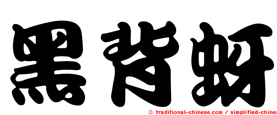 黑背蚜