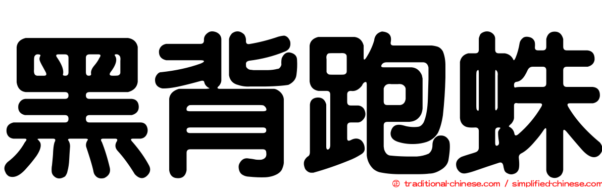 黑背跑蛛