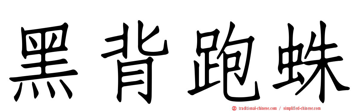 黑背跑蛛