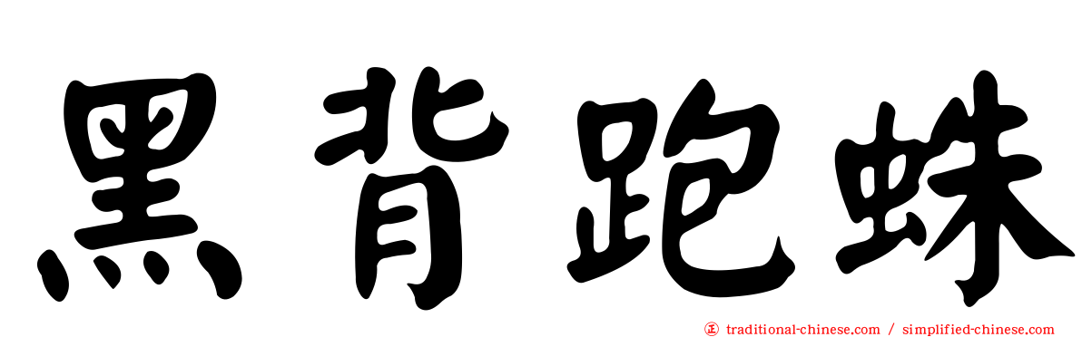 黑背跑蛛