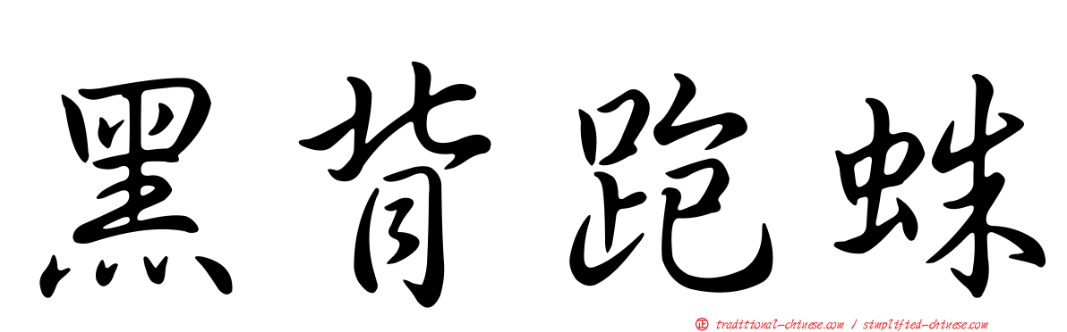 黑背跑蛛