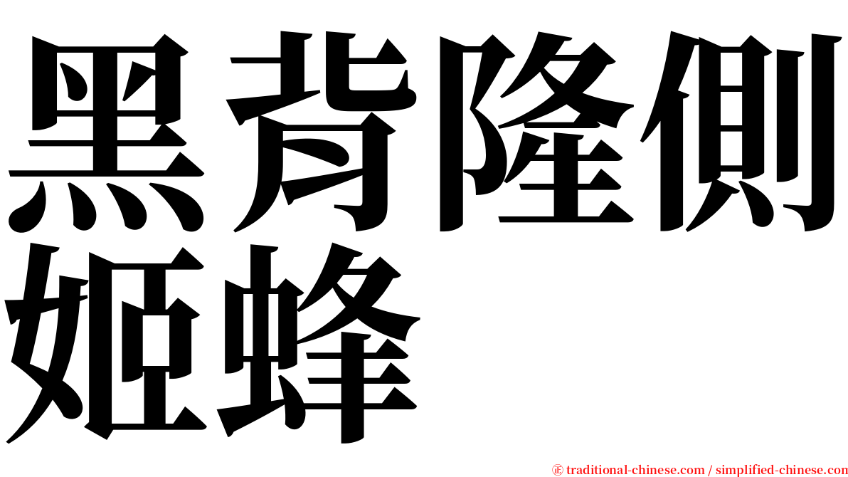 黑背隆側姬蜂 serif font