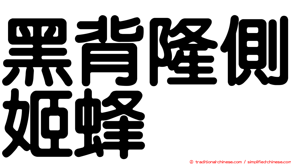 黑背隆側姬蜂