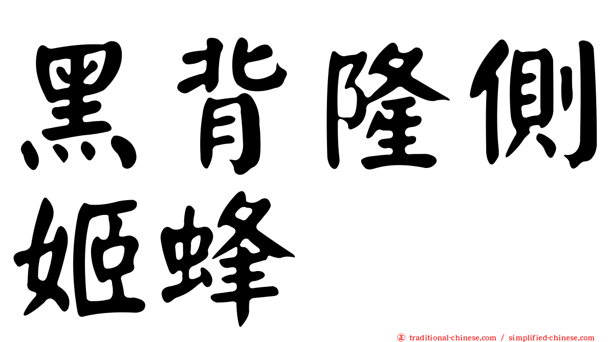 黑背隆側姬蜂