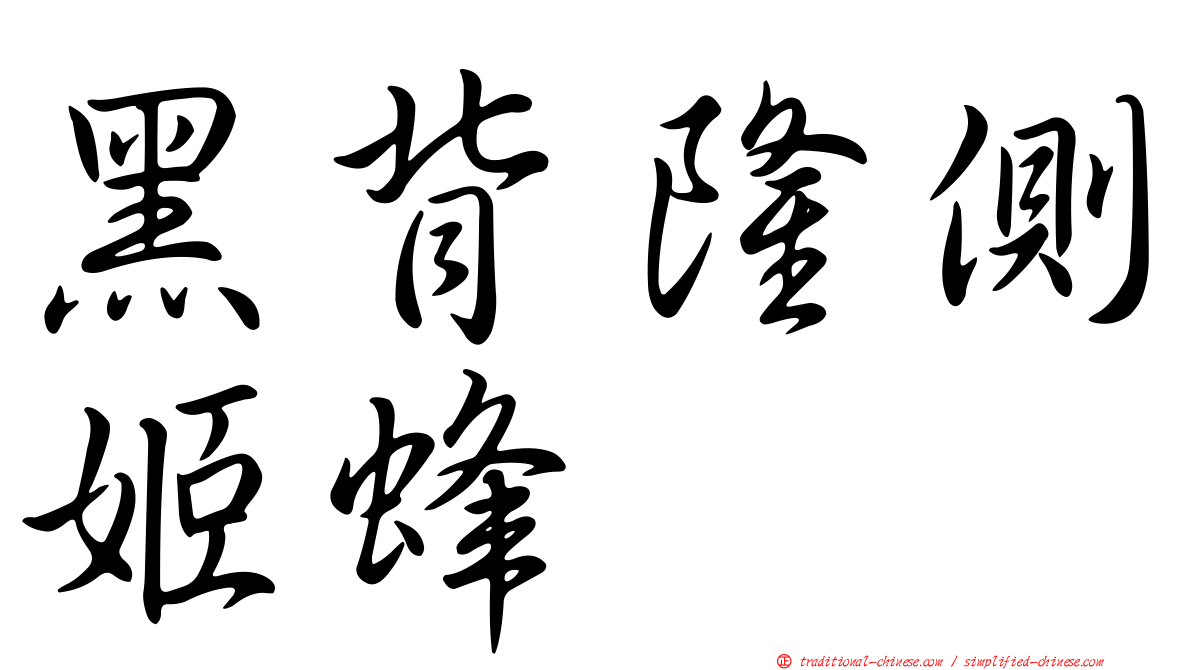 黑背隆側姬蜂