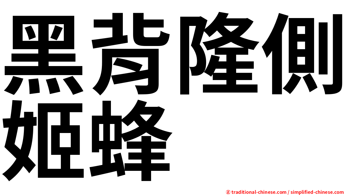 黑背隆側姬蜂