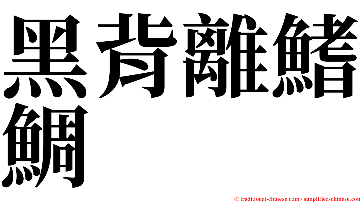 黑背離鰭鯛 serif font