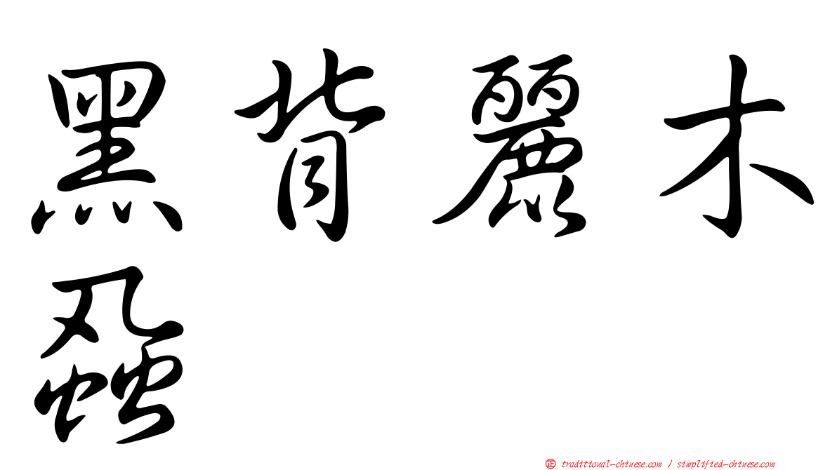 黑背麗木蝨