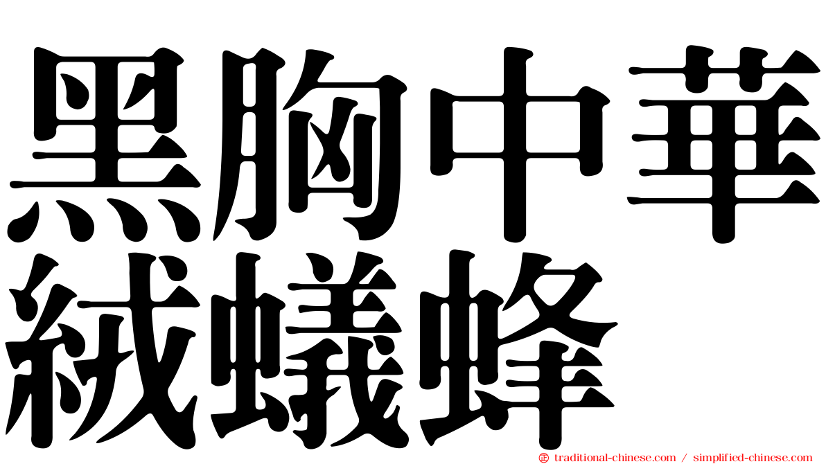 黑胸中華絨蟻蜂