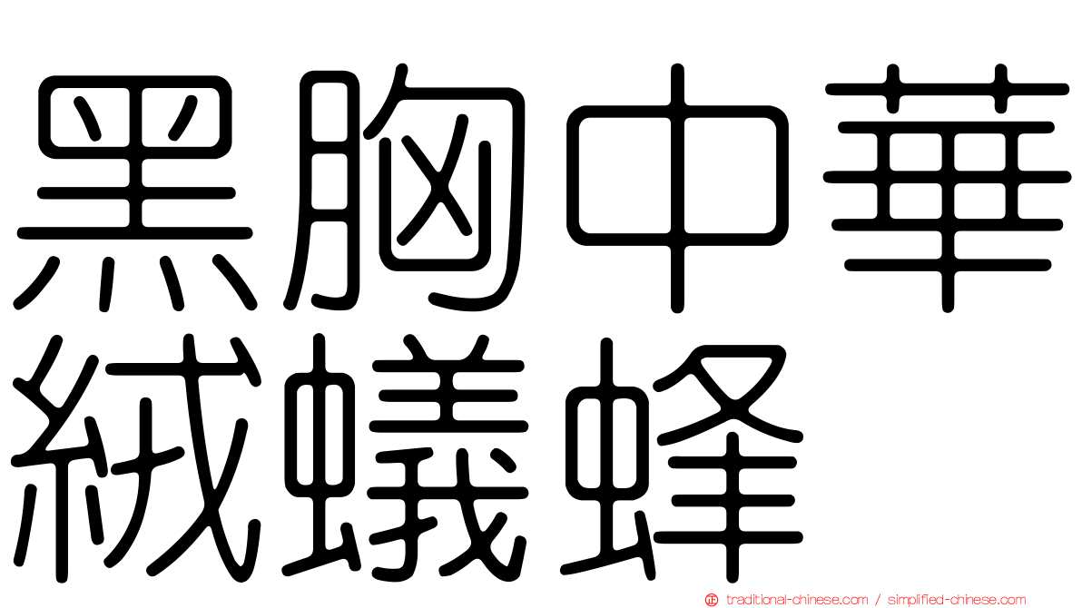 黑胸中華絨蟻蜂