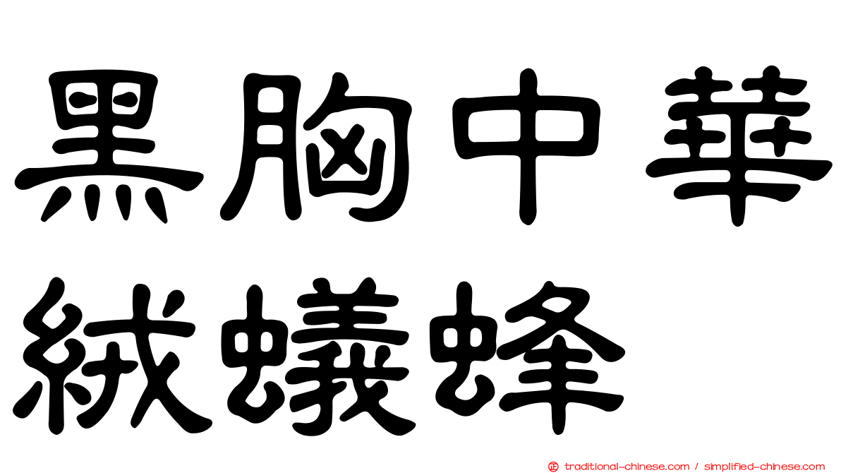 黑胸中華絨蟻蜂