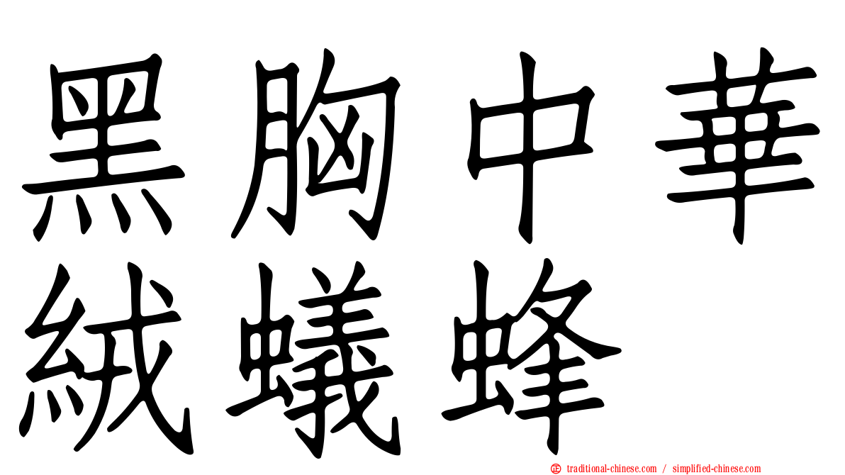 黑胸中華絨蟻蜂