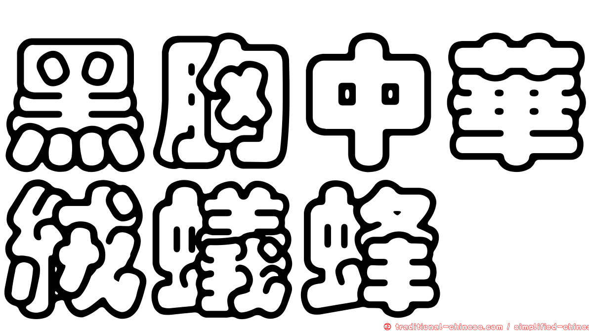 黑胸中華絨蟻蜂
